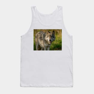 Timber Wolf Tank Top